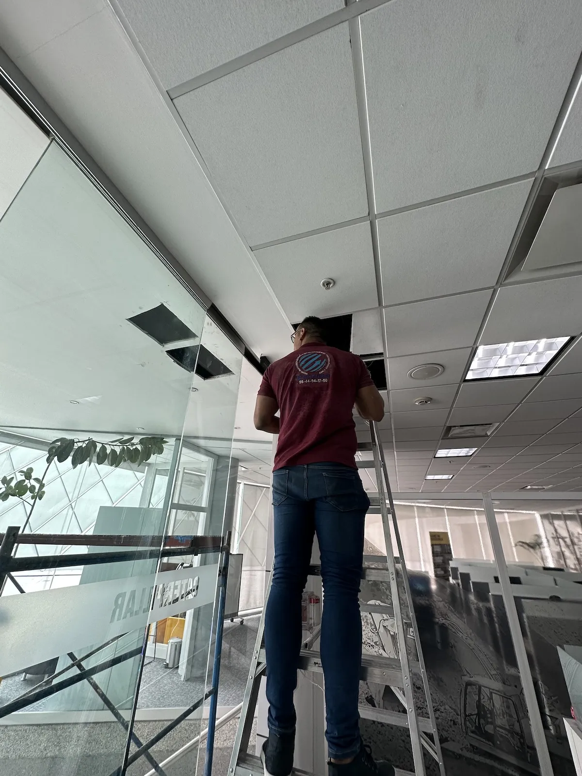 Proyecto Proyecto Caterpillar Santa Fe Cdmx Puerta Automatica - Smart Film (PDLC) - Foto 14