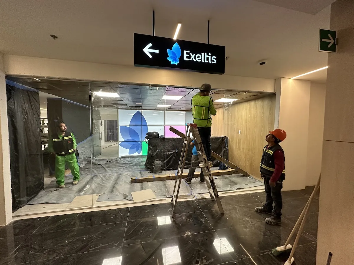 Proyecto Proyecto Exeltis Torre Anseli Puerta Automatica - Smart Film (PDLC) - Foto 4